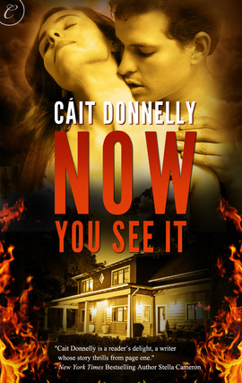 Title details for Now You See It by Cáit Donnelly - Available